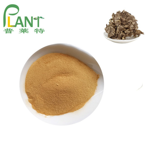 Bio-Maitake-Pilz-Extrakt-Pulver Beta-Glucan