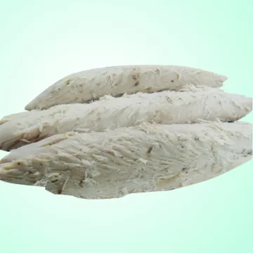 Frozen Precooked Bonito Tuna Loin for canned