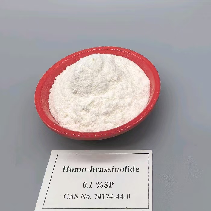 homo-brassinolide auxin