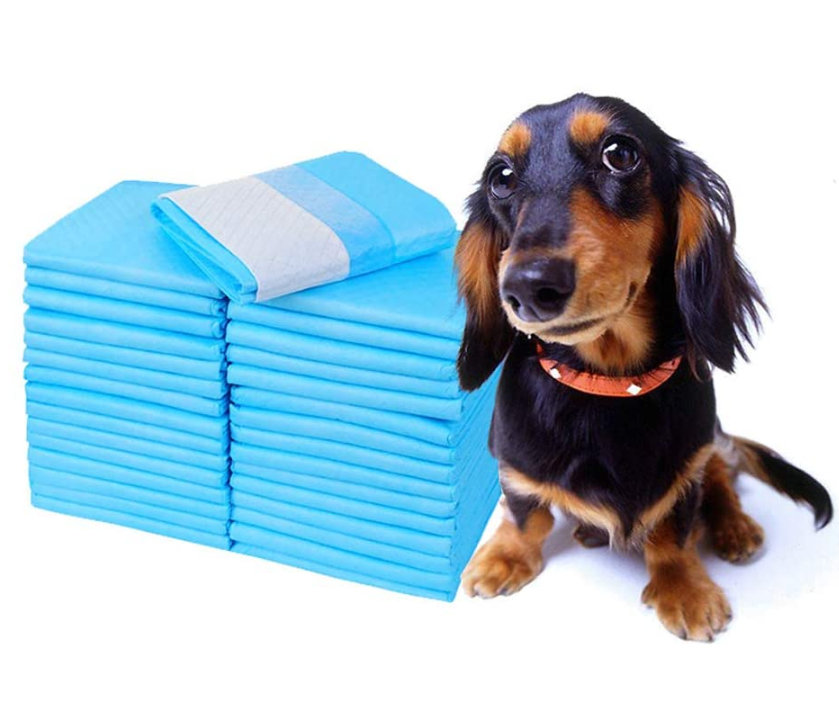 Dogs Pee Pad for Potty Training