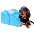 Chiens Pee Pad pour la formation de pot