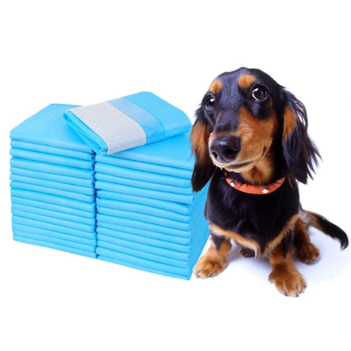 Pee Pad per cani per un allenamento vasino