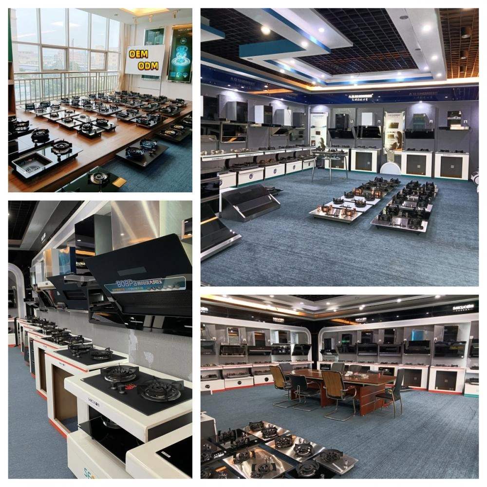 Suppliers for competitive price gas stove without cylinder