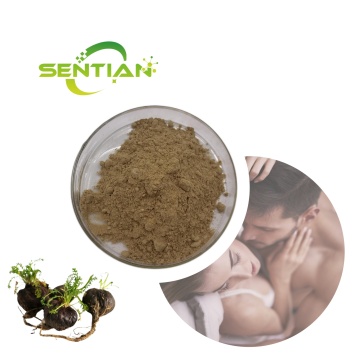 macaamide powder black maca extract 0.6% macaamide