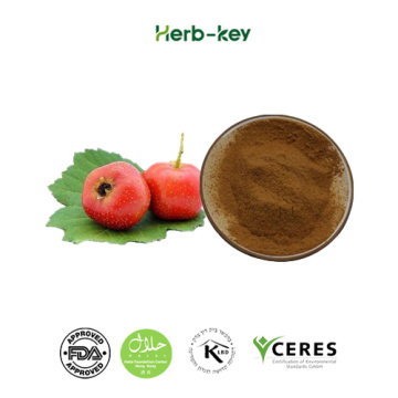 Herbal Medicine Hawthorne Leaf Extract Hawthorn Total Flavones Flavonoids Manufactory