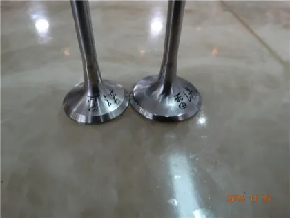 Auto Car Engine Valve for RENAULT