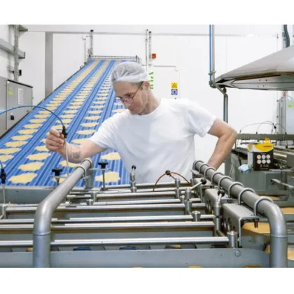 Dora Pancake Forming Machine - Japanese Pancake Production Line