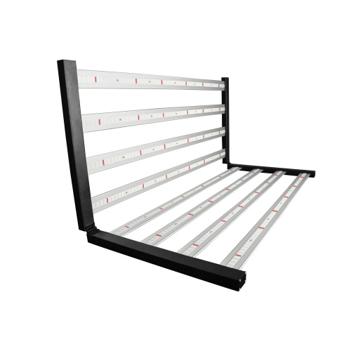 Hortilux LED Grow Light indendørs