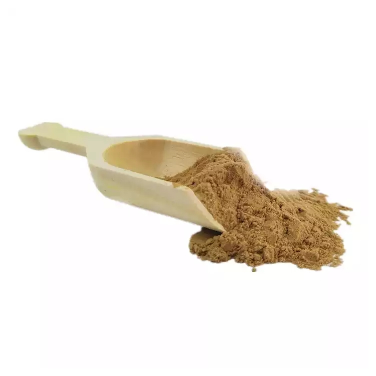 Plant Extrat Powder