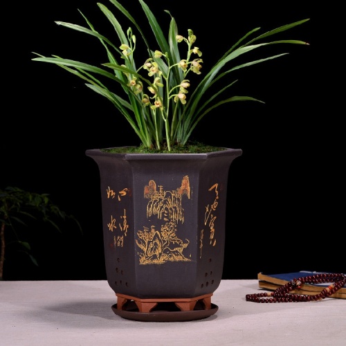 China Cheap Orchid Planter Flower Pot Factory