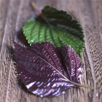 Aceite esencial de hoja de perilla orgánica