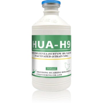 Vaccin inactivé contre la grippe aviaire H9, souche NJ01