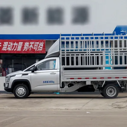 Lingshi Golden Card Cangzha Era Edition