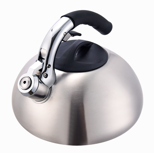 Brush Finish Tea Kettle