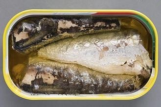 canned sardines with high qualtiy