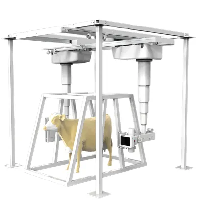 High-Frequency Large Animal X-ray Frame