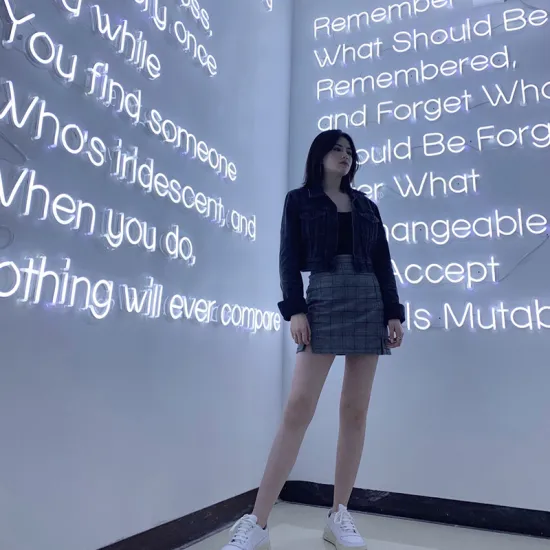 WALL MOUNTED LIT NEON SIGN