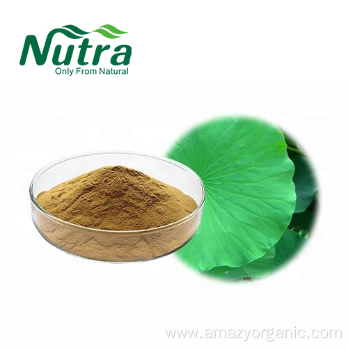 Fresh Lotus Leaf Extract Powder