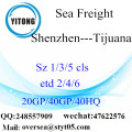 Shenzhen Port Sea Freight Shipping To Tijuana
