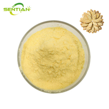 Premium Plant Extract Baicalin