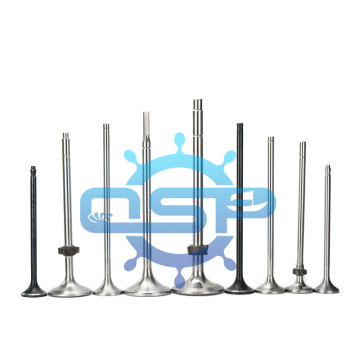 ชิ้นส่วนอะไหล่เครื่องยนต์ของหัวรถจักรสำหรับรัสเซีย - D49 D50: วาล์วไอดี, วาล์วไอเสีย, แกนหมุน