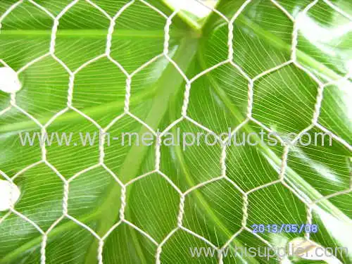 Poultry Chicken Netting Fence 