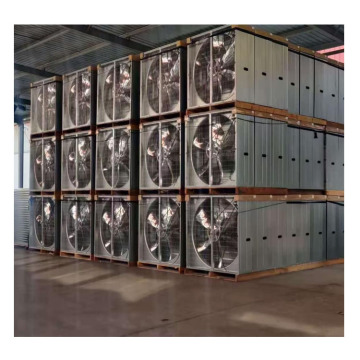 Chicken Poultry House Ventilation Fan & Greenhouse Cooling Pad System