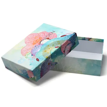 Color Top And Base Box Packaging