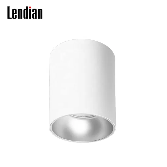 Commercial Indoor Ceiling IP65 LED Downlights - 8w to 45w Surface Mounted Cylinder Spotlights