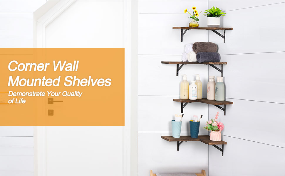 Wall Mounted Corner Shelf