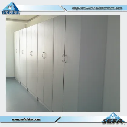 School Furniture / Laboratory Furniture Steel Clothing Cabinet Laboratory