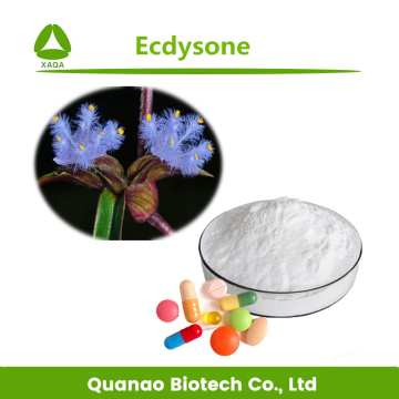 Cyanotis Arachnoidea Extract Ecdysterone 80%-98% Powder