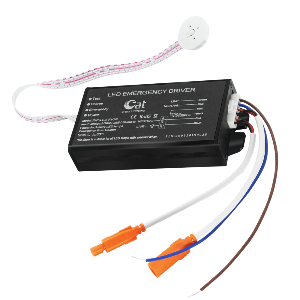 Europe Vente chaude 30W conducteur d'urgence LED