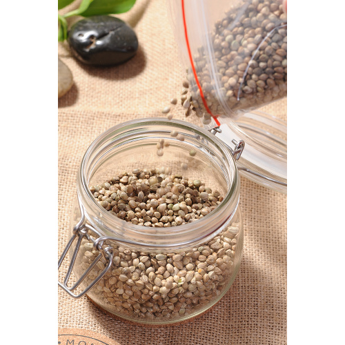 Wholesale Oil Seeds Conventional Hemp Seeds for Planting