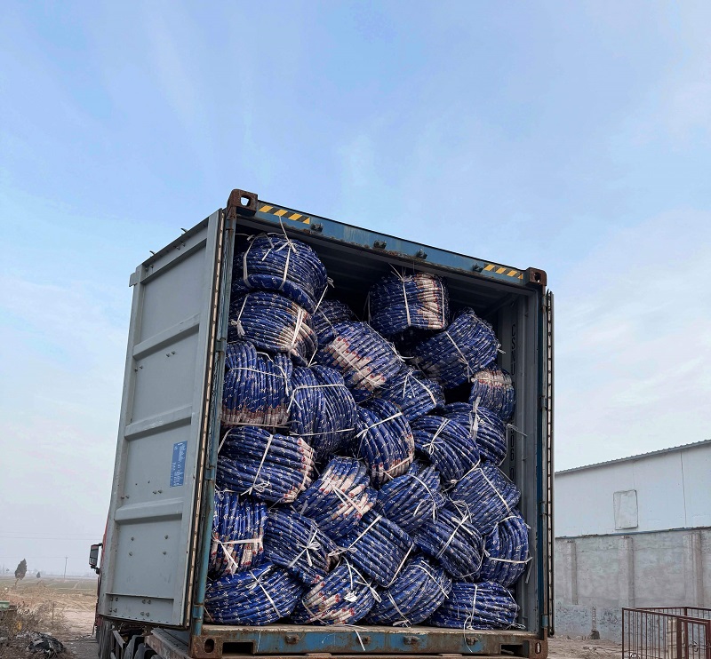 Ruisilaifu Secures 4 Container Orders from Togo on New Year's Day, Ushering in an Era of Global Customization for Sino-African Industries!