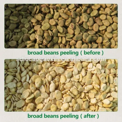 Whole shape output fava beans broad beans peeling machine