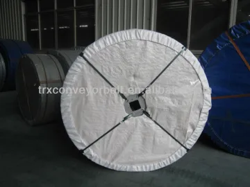 Hight quality Nylon/NN conveyor belt
