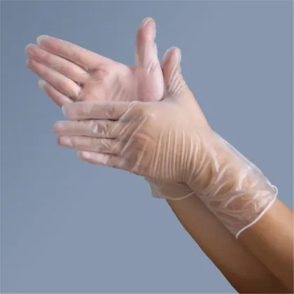 Large Vinyl Gloves UAE PVC Crayfish Glove