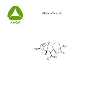 Best Price Gibberellic Acid 90% Powder