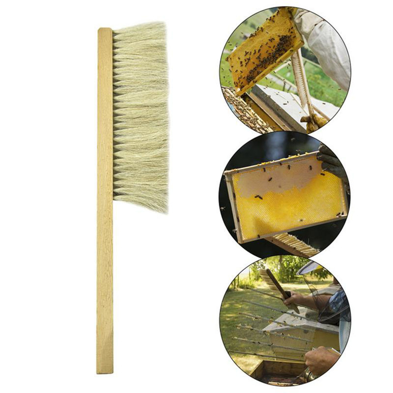1pc Durable Soft Bristle Brush Beekeeping Tools Wood Brush New Beekeeping Equipment Easy Reusable Honeycomb-cleaning Tool