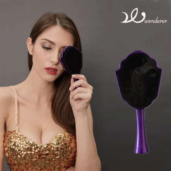 Hair Detangle Comb New Product