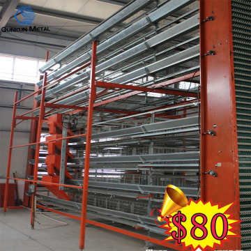 Hot-dipped Galvanized Chicken Cage