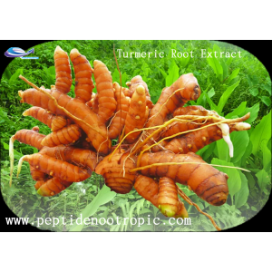 AMULYN Supply Natural Turmeric Curcumin 95% Extract Powder