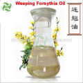 Aceite esencial de hierbas chinas Forsythia Aceite esencial al por mayor