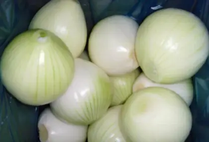 Round Fresh Yellow Onions Fresh Cheap Onion