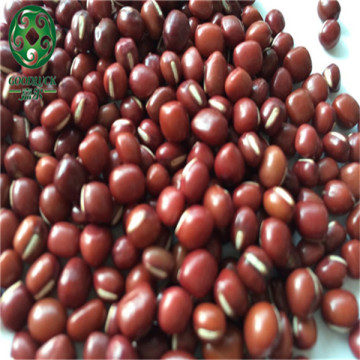 Chinese Red Adzuki Bean,small red bean,High Quality