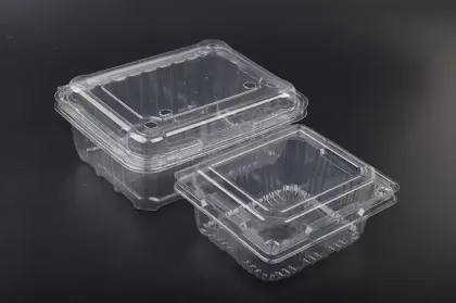 the PET box for meat and vegetale meat plate display and stocking