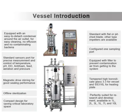 Customizable Plant Tissue & Yeast Bioreactors - 3L to 15L