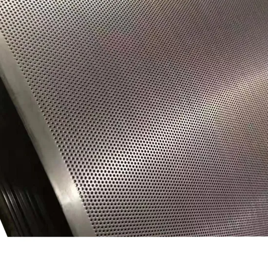 4x8 0.2mm Micro Perforated Stainless Steel Wire Mesh Screen Decorative Sheet