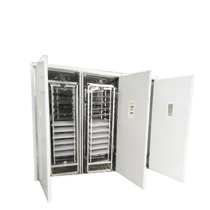 Best Price Automatic Duck Egg Incubator Machine for 10,000 Oeuf Hatching Eggs